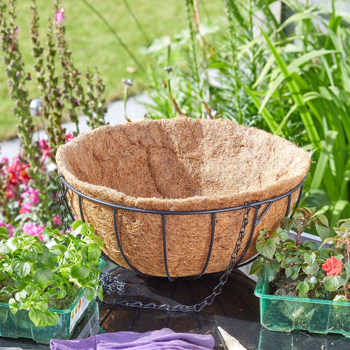 Round hanging basket with coco liner in a garden setting.