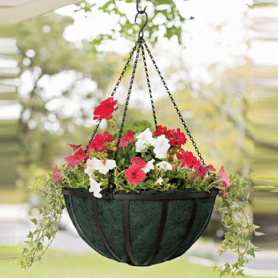 Green hanging basket with red and white flowers, suspended outdoors.
