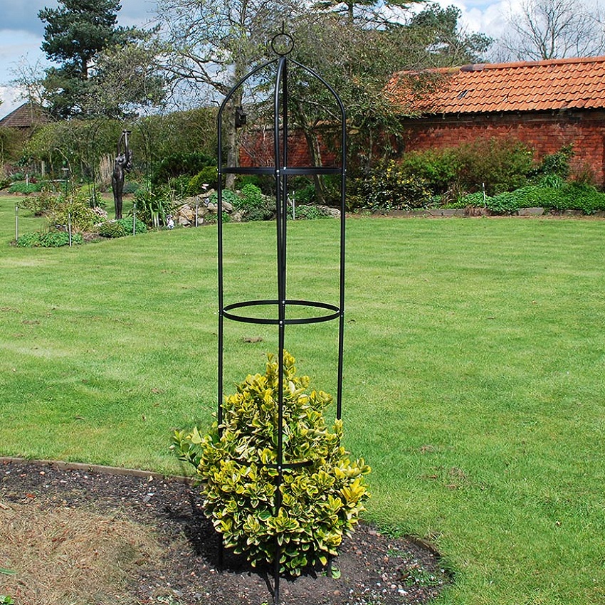 Metal obelisk support frame in a garden setting with climbing plant.