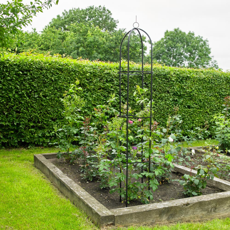 Metal obelisk support frame for climbing plants in a garden setting.