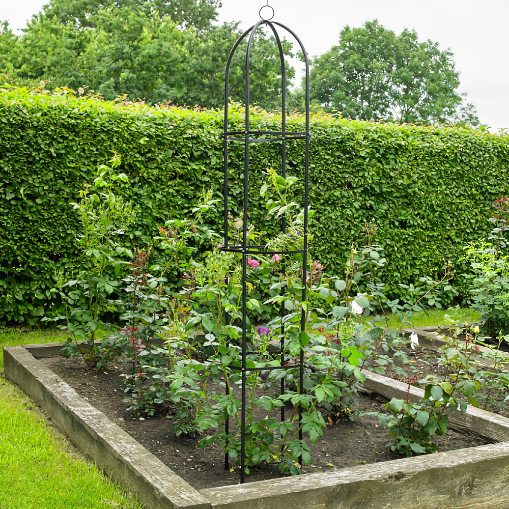 Metal obelisk support frame for climbing plants in a garden setting.