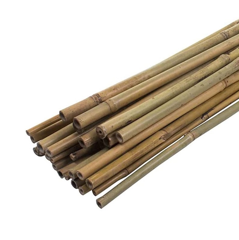 A bundle of bamboo plant supports for climbing plants, measuring 2200mm in length.