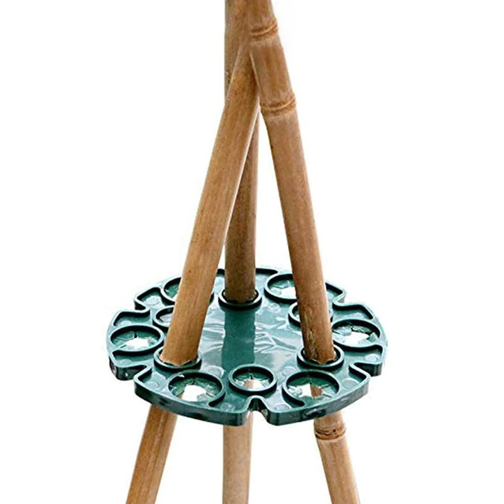 Close-up of bamboo plant support with green connector for tall plants.