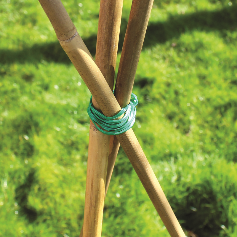 Close-up of bamboo plant supports tied together with green wire on a grassy background.