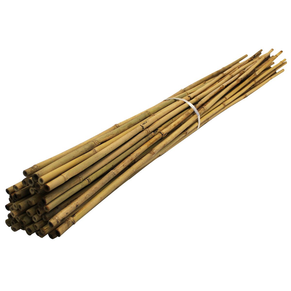 Bundle of bamboo plant supports tied together, suitable for tall plants.