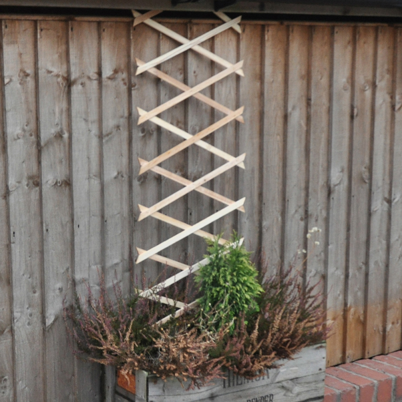 Expanding wooden trellis for climbing plants against a wooden fence with greenery at the base.