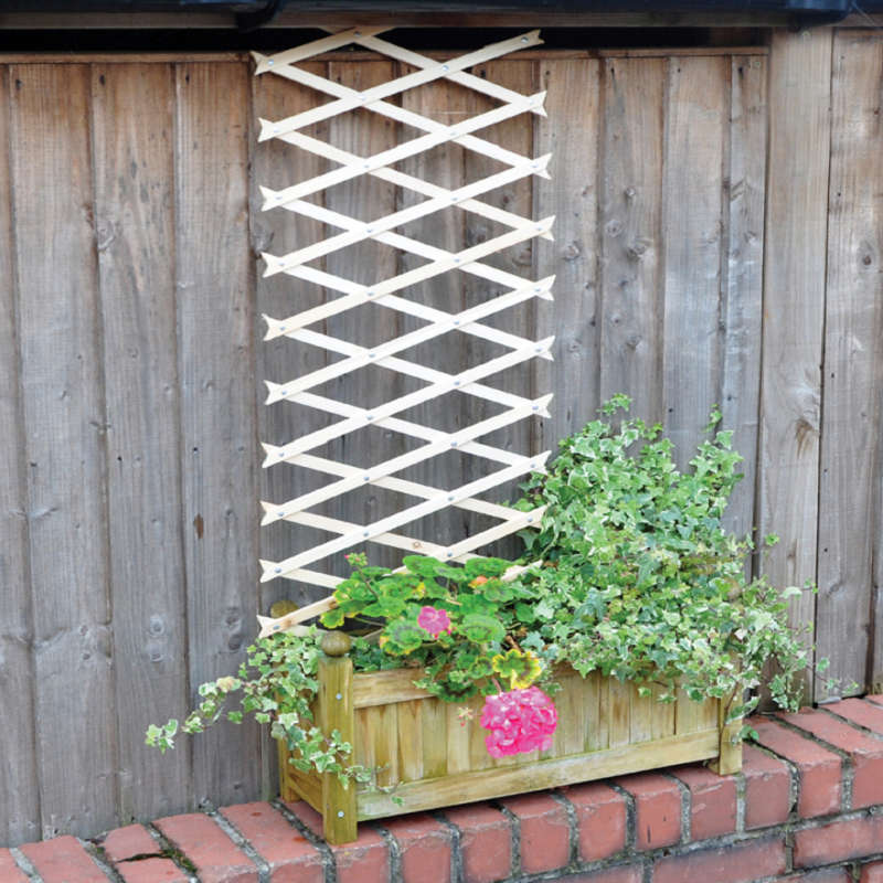 Expanding wooden garden trellis with climbing plants against a wooden fence.