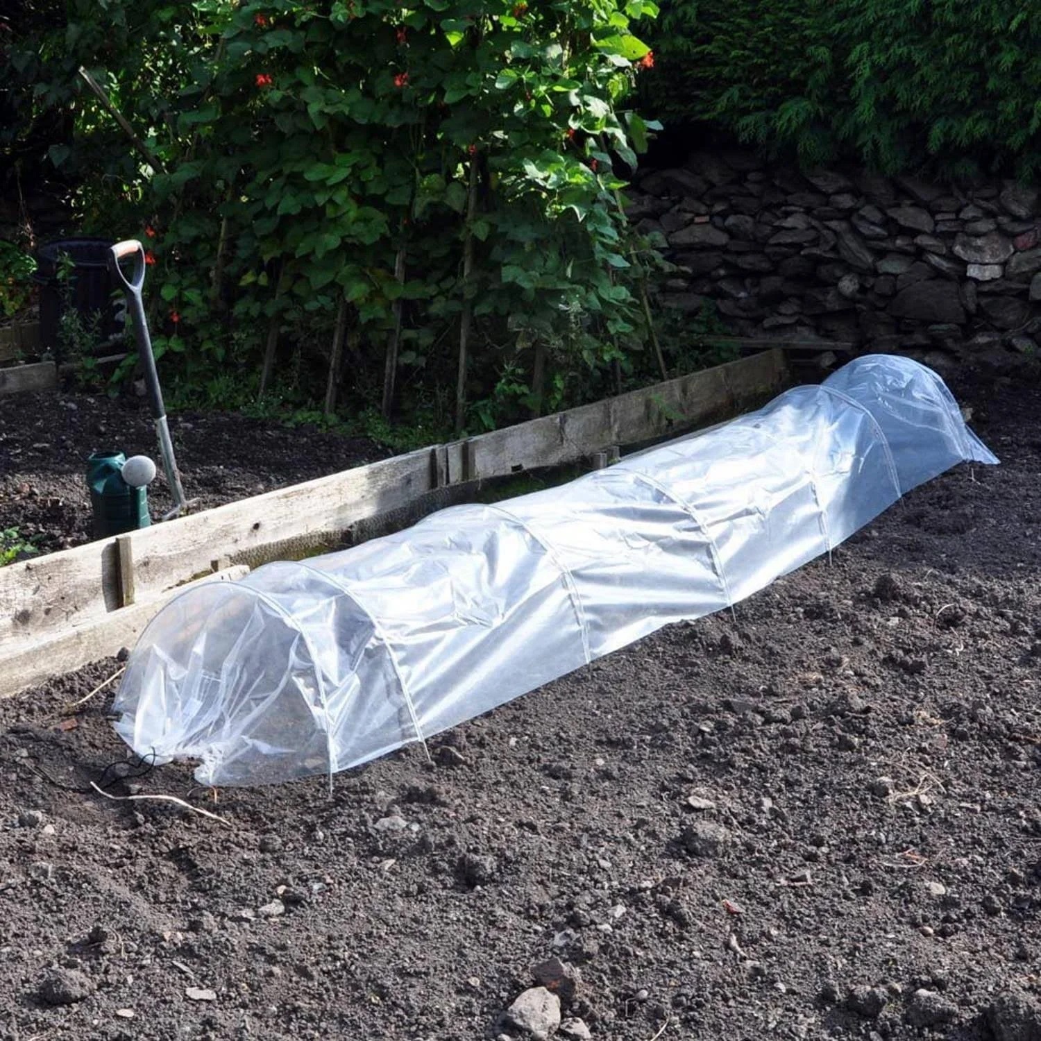 A clear polythene grow tunnel set up in a garden for humidity control.