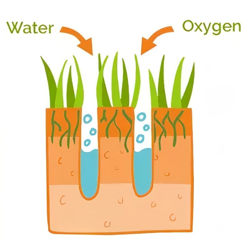 Illustration showing water and oxygen penetrating grass roots through aerated soil.