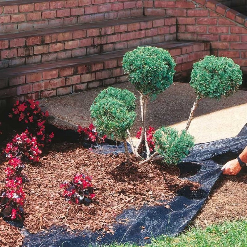Garden area with weed control fabric being laid under mulch and plants.