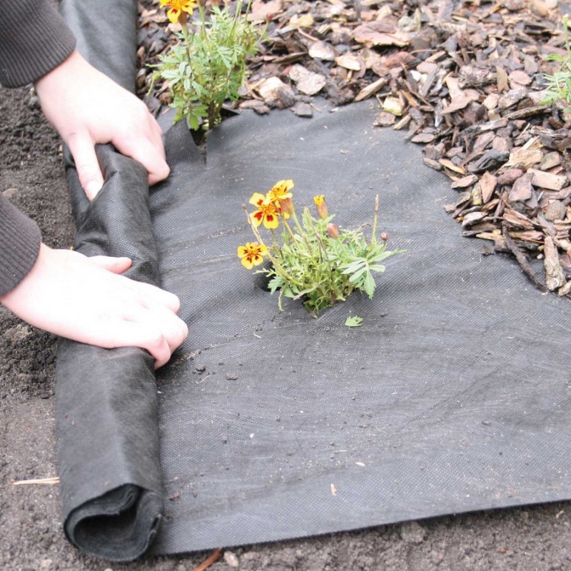 Hands laying black garden weed control fabric around flowers and mulch.