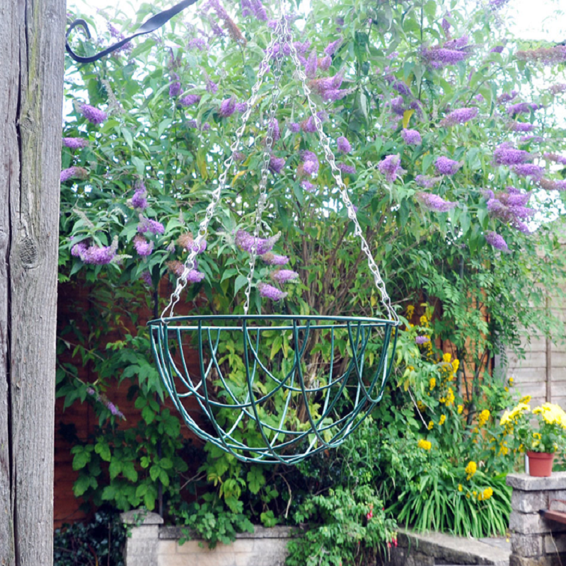 Green wire hanging flower basket in a garden setting with purple and yellow flowers.