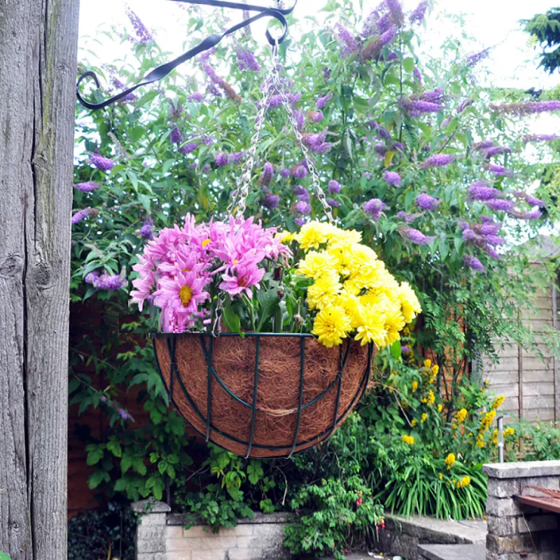 Kingfisher Garden 12 Inch Green Wire Hanging Flower Basket HB12G Kingfisher Garden 12 Inch Green Wire Hanging Flower Basket (HB12G)