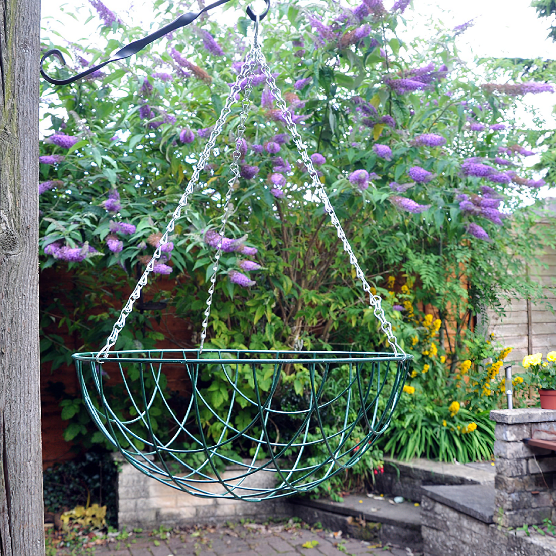 Green wire hanging flower basket with chains in a garden setting.