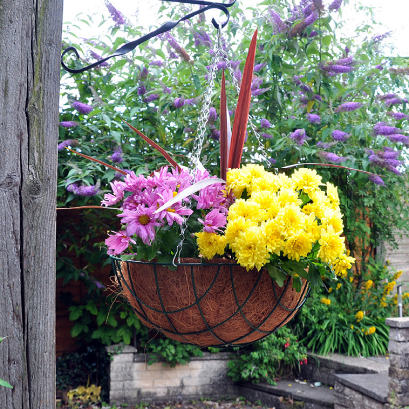 Green wire hanging flower basket with pink and yellow flowers in a garden setting.