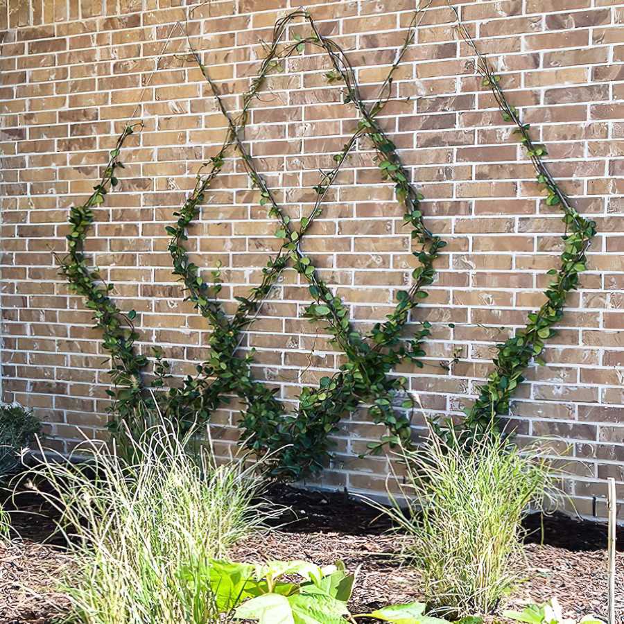 Green garden wire supporting climbing plants against a brick wall.