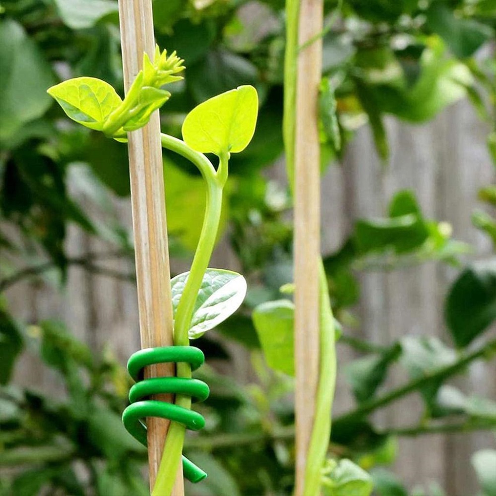 Green plant tie wire supporting a young plant stem against a wooden stake in a garden setting.