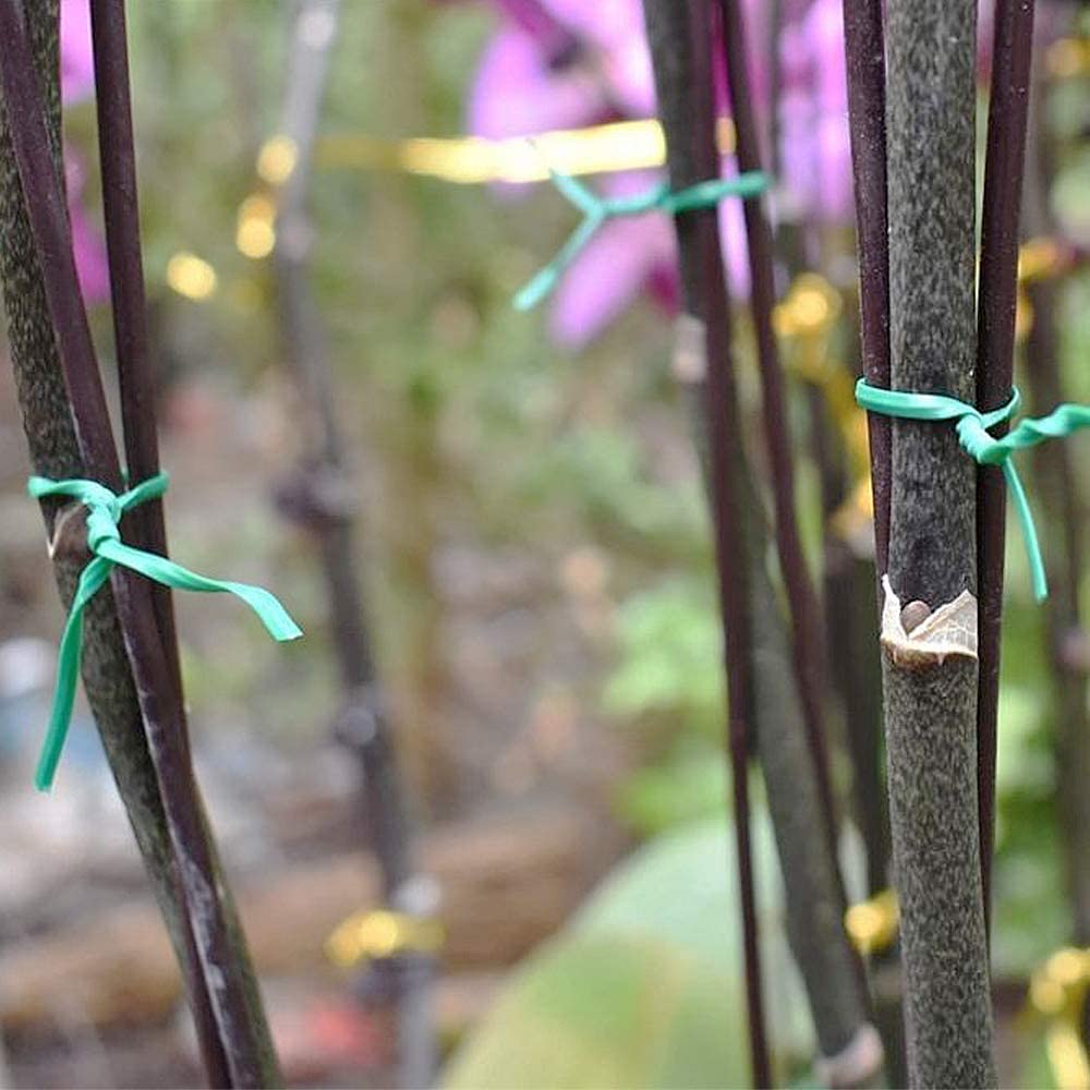 Green tie wire securing plant stems in a garden setting.