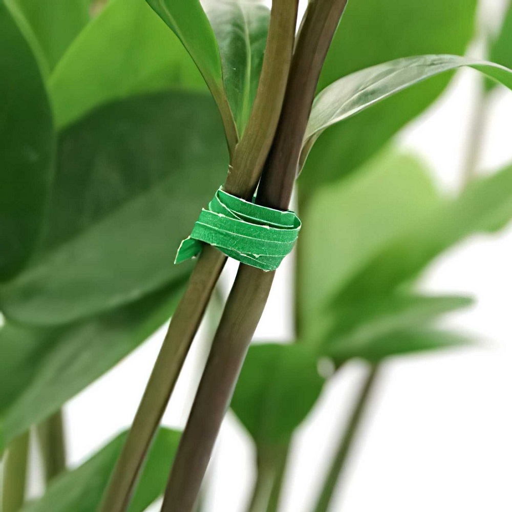Close-up of a green tie wire securing plant stems together.