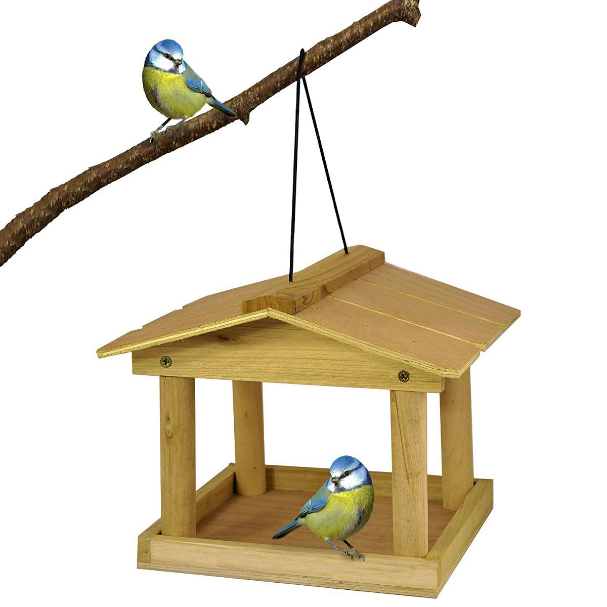 Wooden bird feeder table hanging from a branch with two birds.
