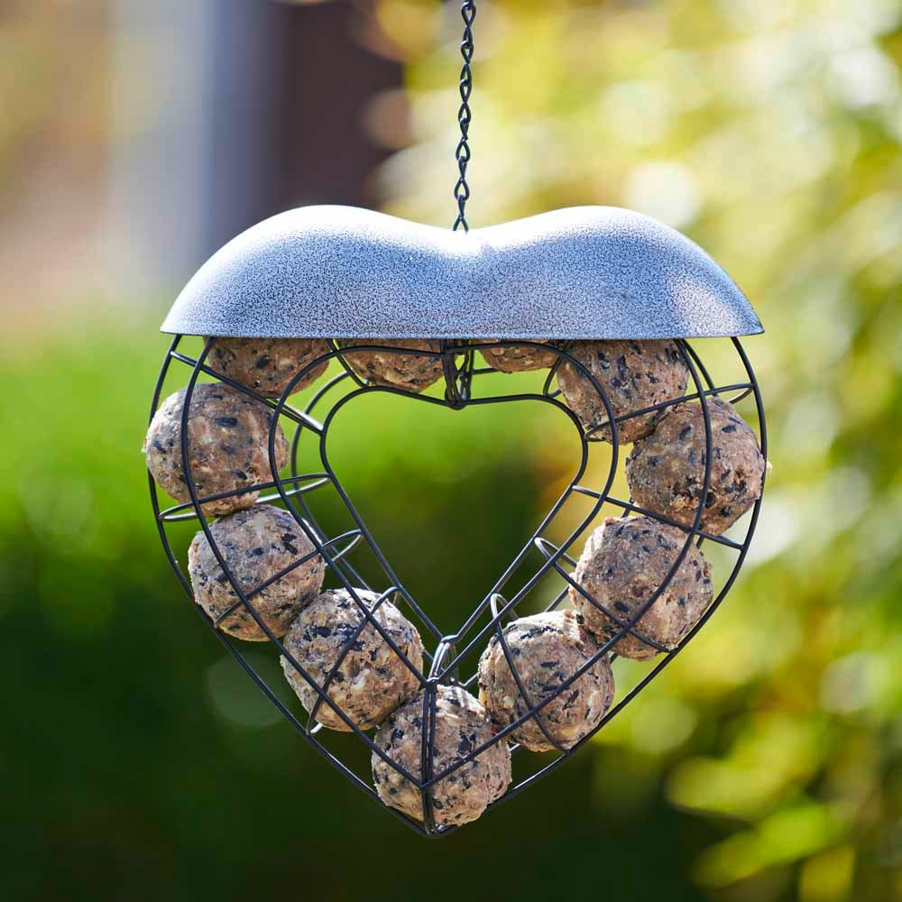 Heart-shaped suet ball bird feeder with an aesthetic design, hanging outdoors.