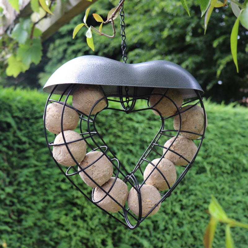 Heart-shaped suet ball bird feeder hanging in a garden with green foliage background.