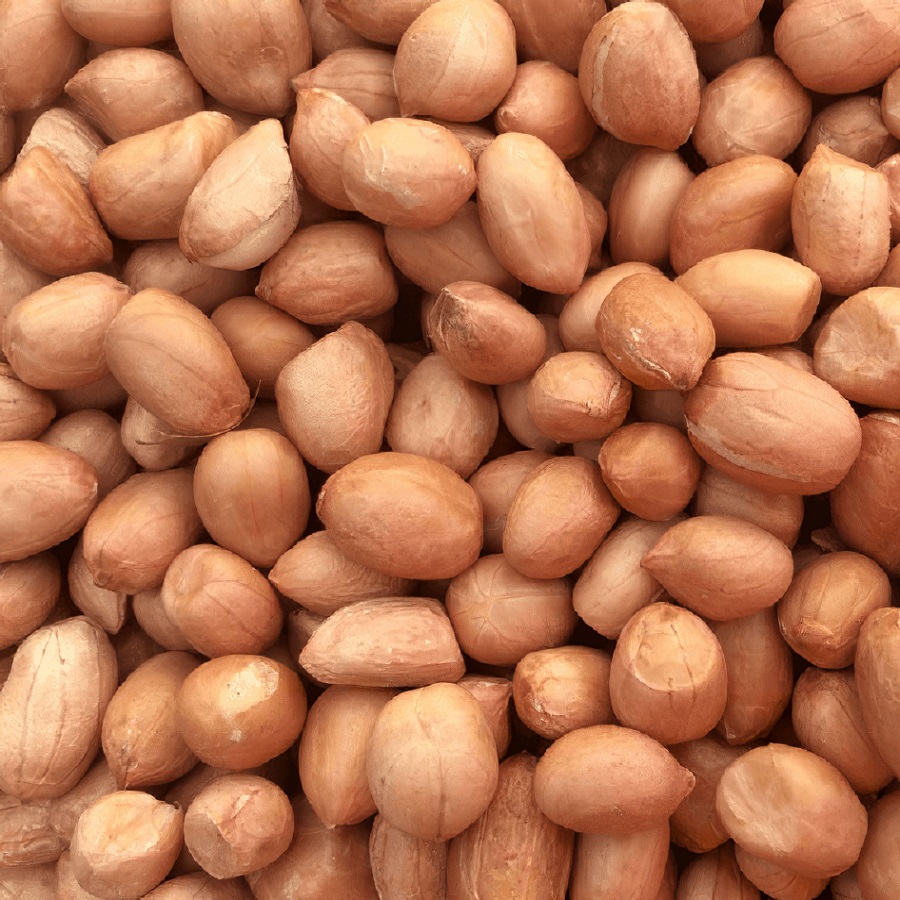 Close-up of unshelled peanuts for wild bird food.
