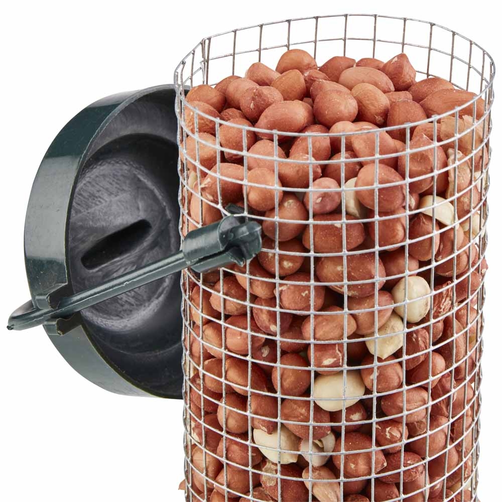 Mesh bird feeder filled with peanuts for wild birds