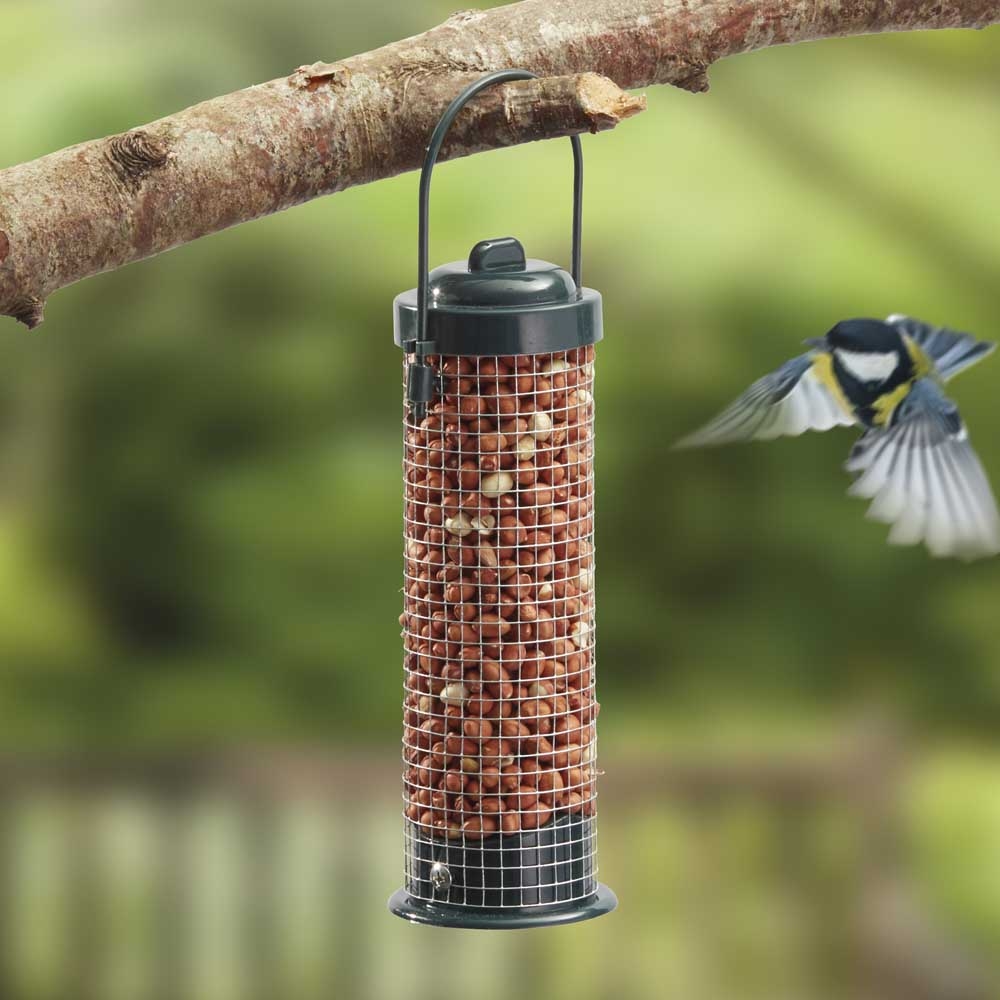Bird feeder hanging from a tree branch filled with peanuts, with a bird in flight nearby.