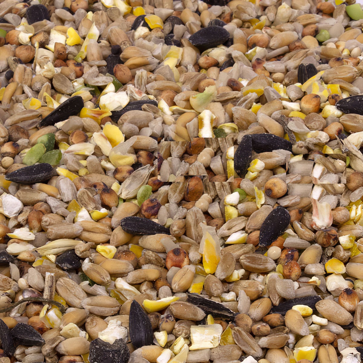 Close-up of a mixed variety of bird seeds including sunflower seeds, corn, and grains.