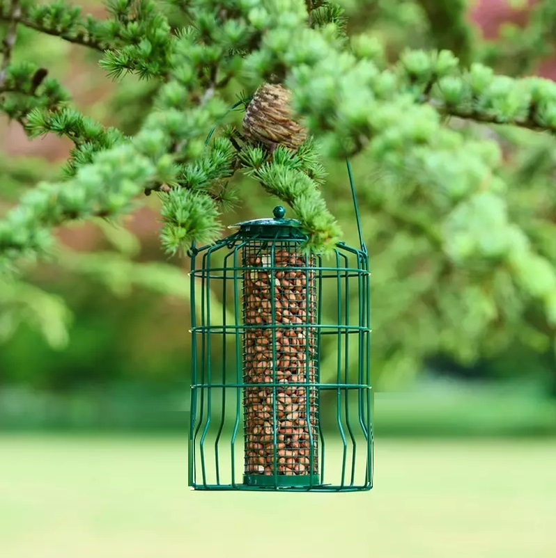 Green squirrel guard nut and peanut bird feeder hanging from a tree branch in a garden.