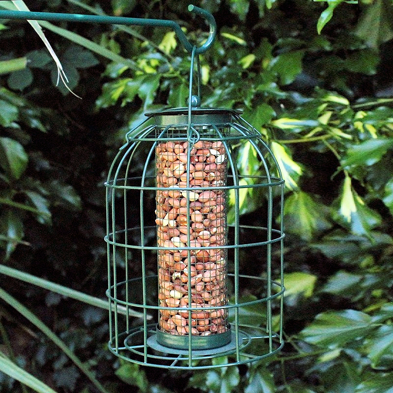 Green squirrel guard nut and peanut bird feeder hanging in a garden setting.