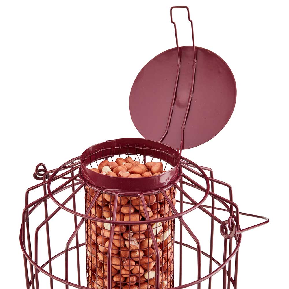 Red squirrel guard nut peanut bird feeder with open lid showing peanuts inside.
