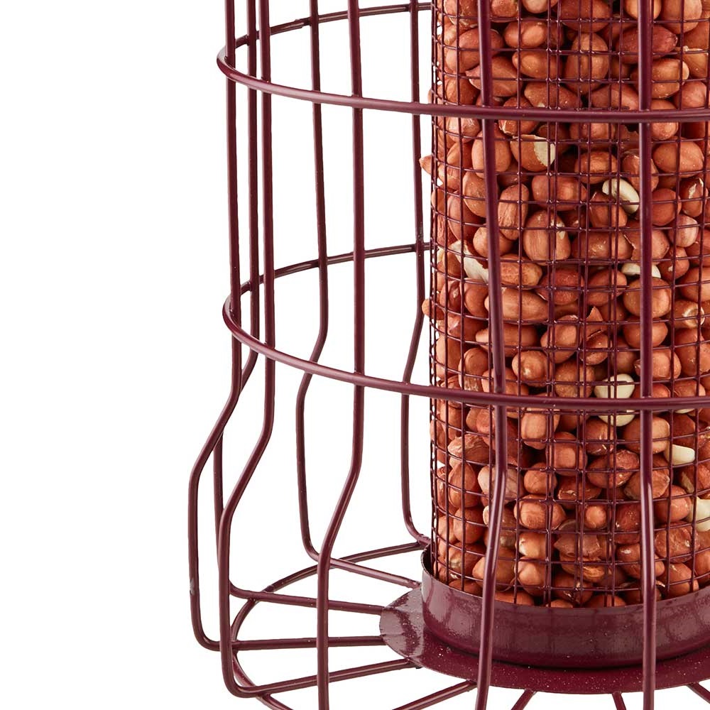 Close-up of a red squirrel guard nut peanut bird feeder with peanuts inside.