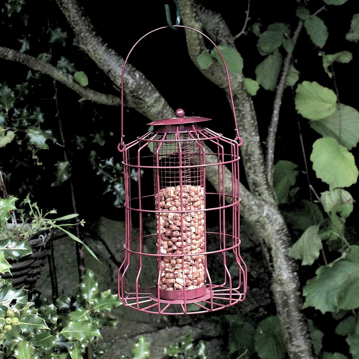 Red squirrel guard nut and peanut bird feeder hanging in a garden.