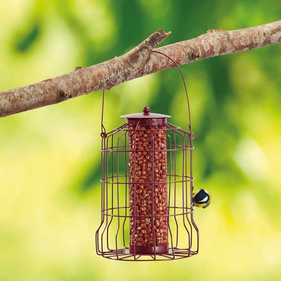 Red squirrel guard nut and peanut bird feeder hanging from a tree branch with a bird feeding on it.