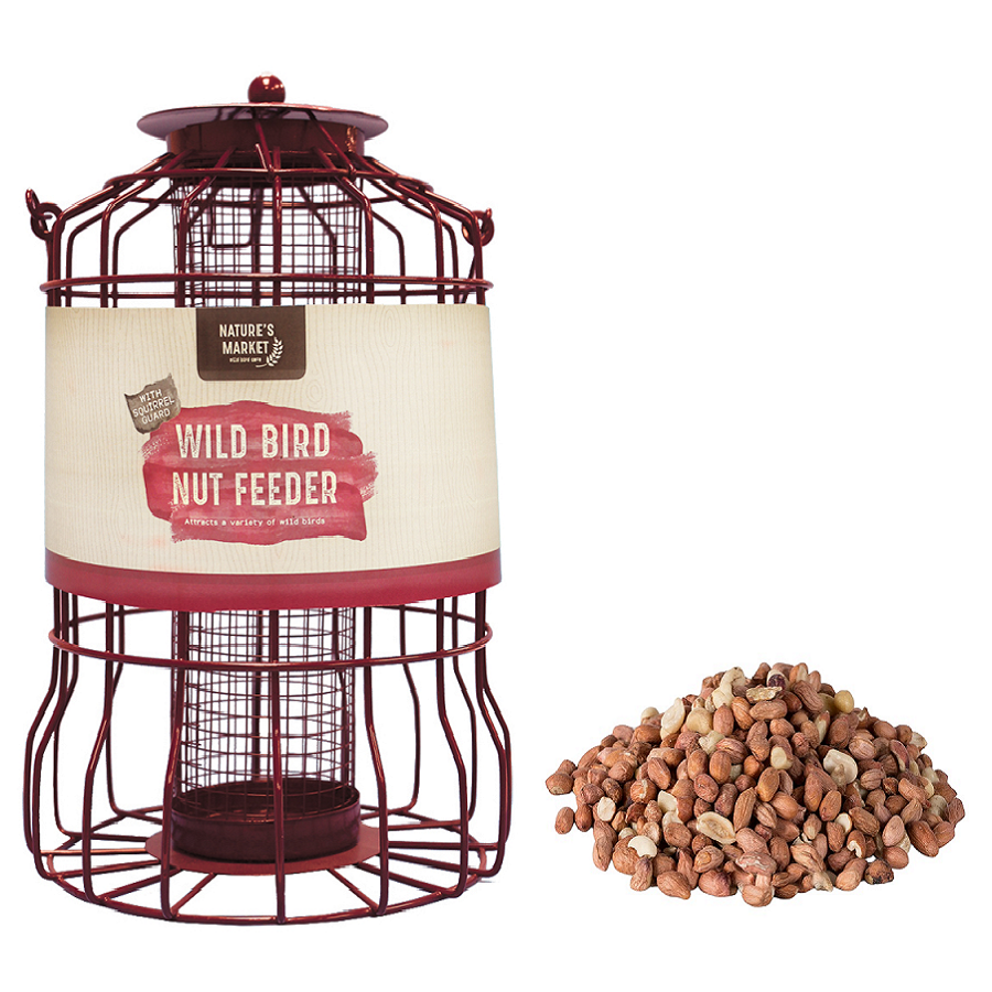 Red bird feeder with squirrel guard and a pile of peanuts.