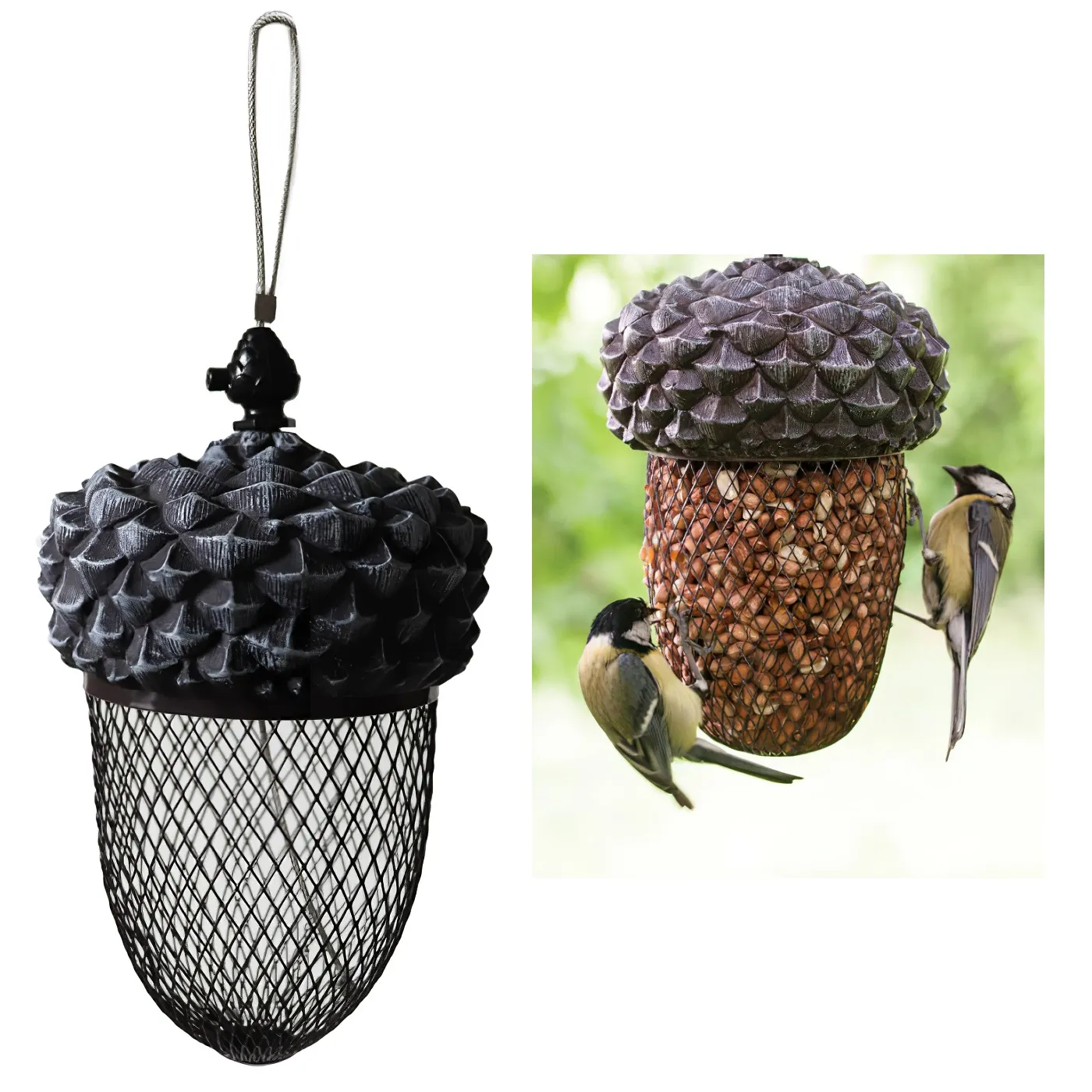 Natures Market Wild Bird Acorn Food and Large Seed Feeder for Easy Access BFACORN Natures Market Wild Bird Acorn Food and Large Seed Feeder for Easy Access (BFACORN)