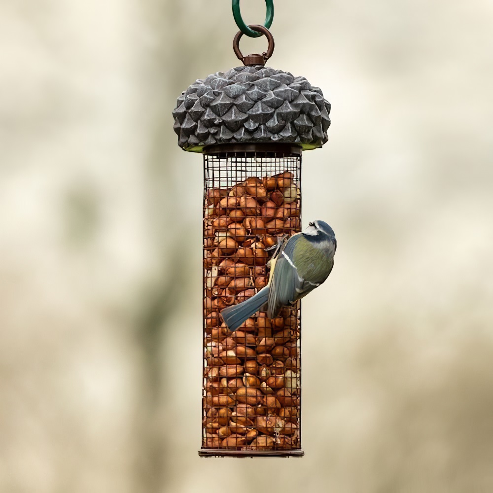 A garden bird perched on a Natures Market acorn-shaped nut feeder filled with nuts.