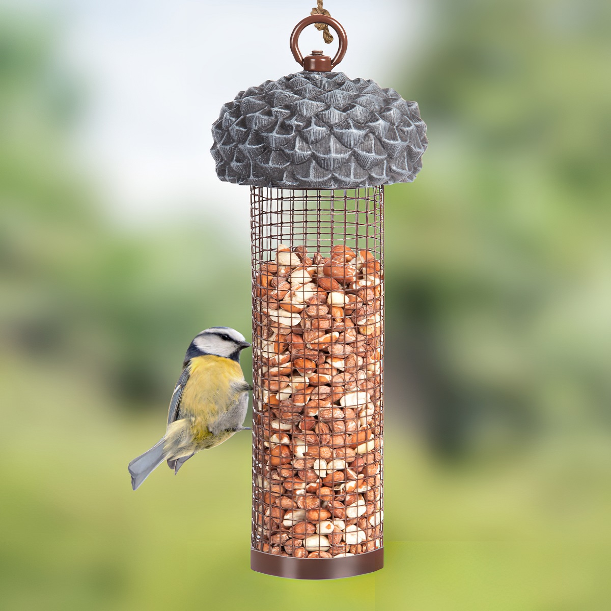 A wild bird perched on a metal acorn-shaped nut feeder filled with nuts, hanging in a garden setting.