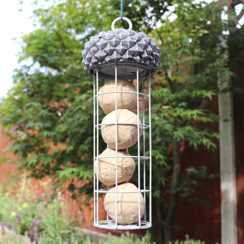 Wild bird feeder with acorn design, holding suet fat balls, hanging in a garden.
