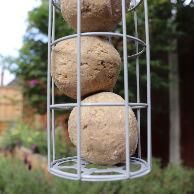 Close-up of a metal bird feeder with acorn-shaped suet fat balls hanging in a garden.