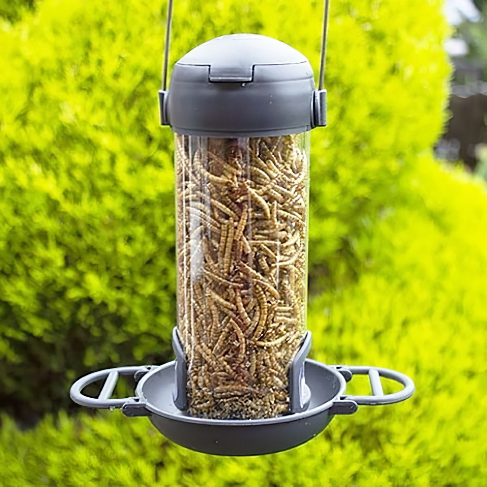 Clear bird feeder filled with dried mealworms hanging in a garden.