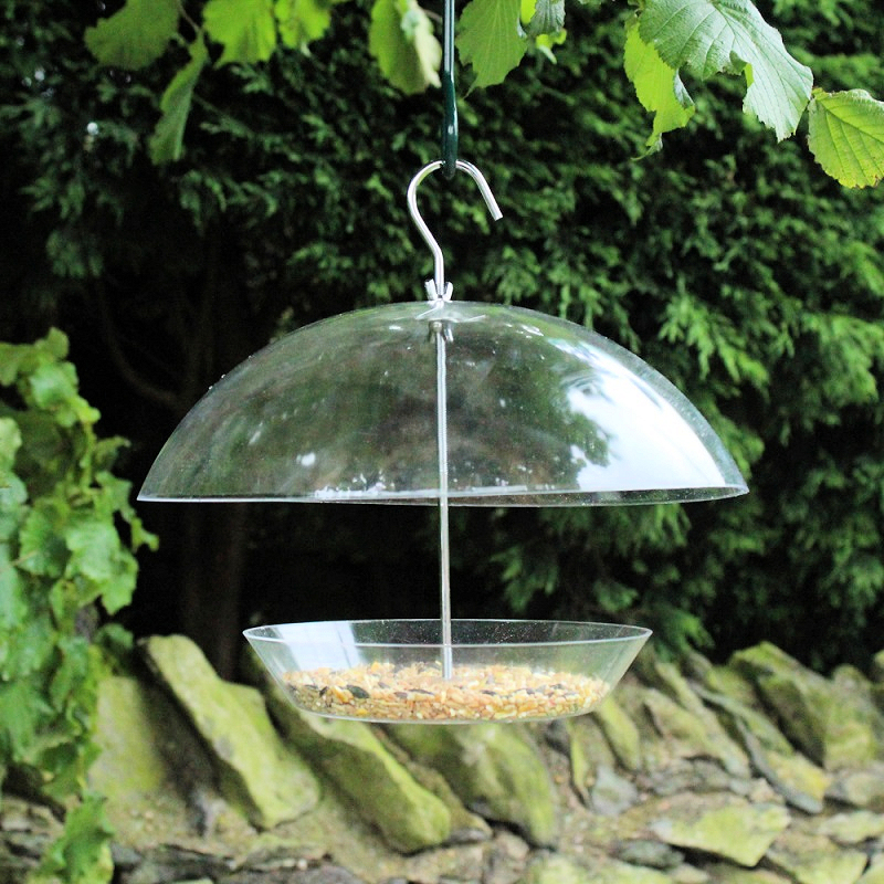 Clear bird feeder hanging in a garden with dried mealworms inside.
