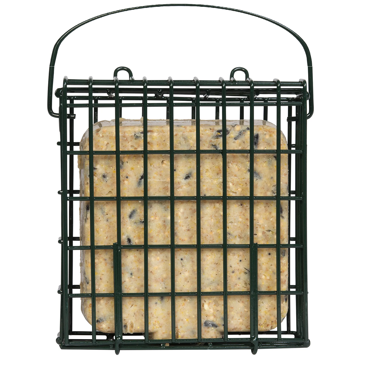 Suet cake with wild berries in a green wire holder.