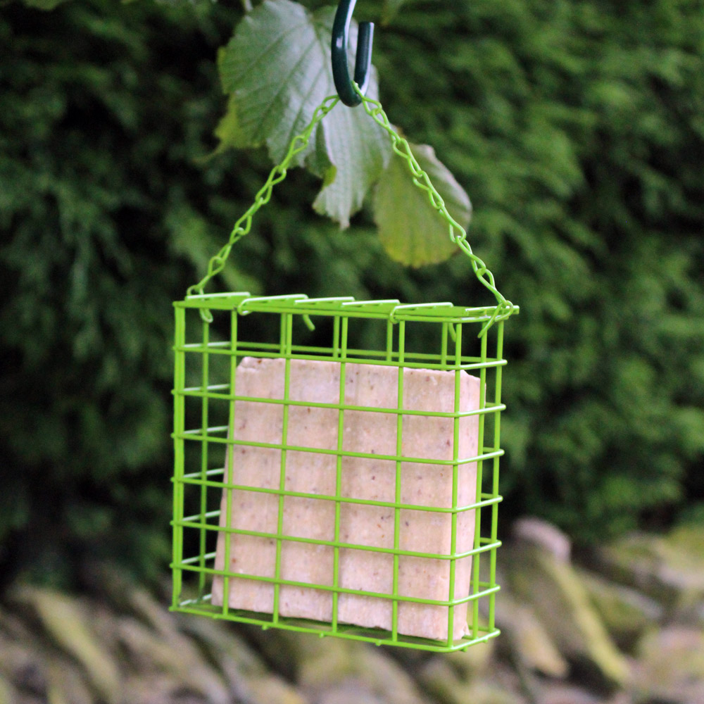 Green wire cage hanging with a suet cake for birds in a garden setting.