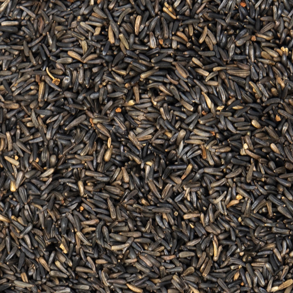 Close-up of black niger seeds for birds.
