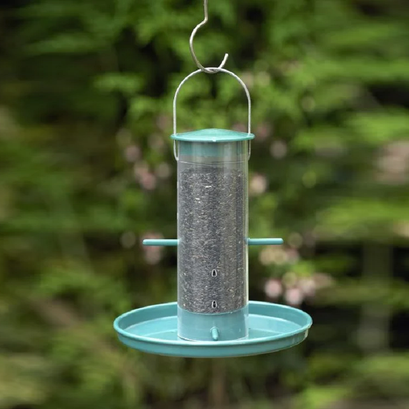 Bird feeder filled with Niger seeds hanging in a garden setting.