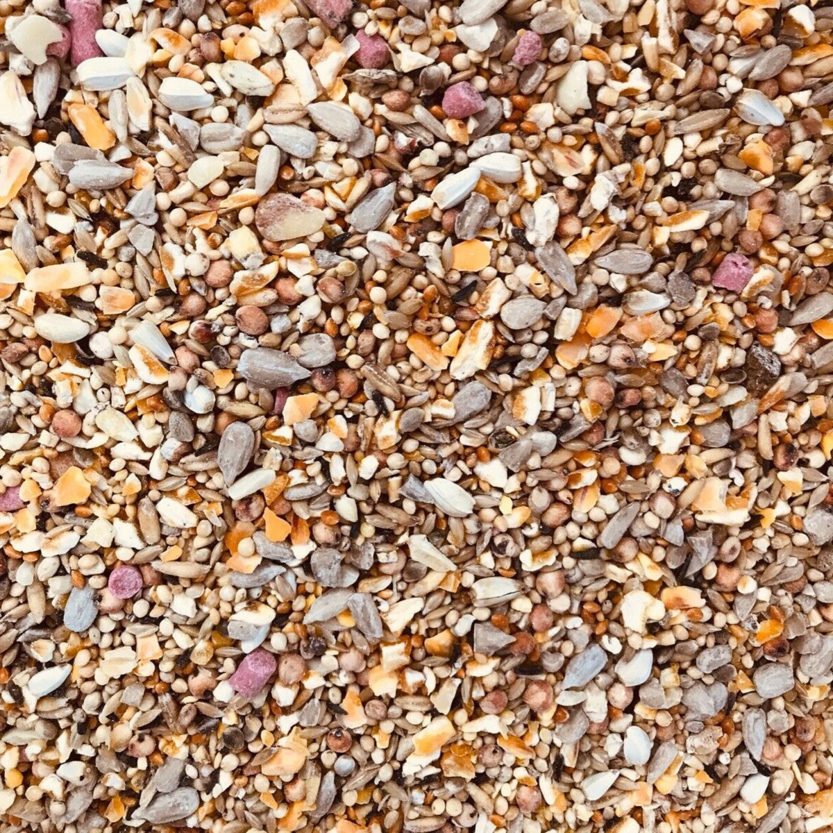 Close-up of a mix of seeds and dried insects for wild birds.