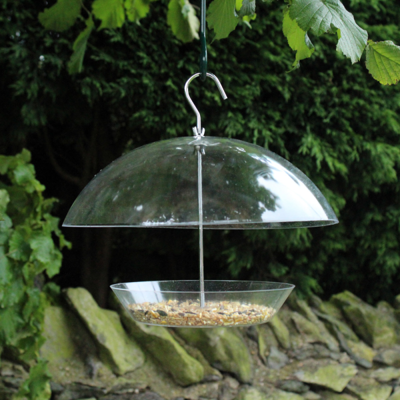 Hanging bird feeder with a clear dome cover containing Natures Market Wild Bird Food Robin Seed and Insect Mix